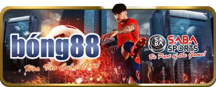 Cập nhật tỷ lệ cược trực tiếp